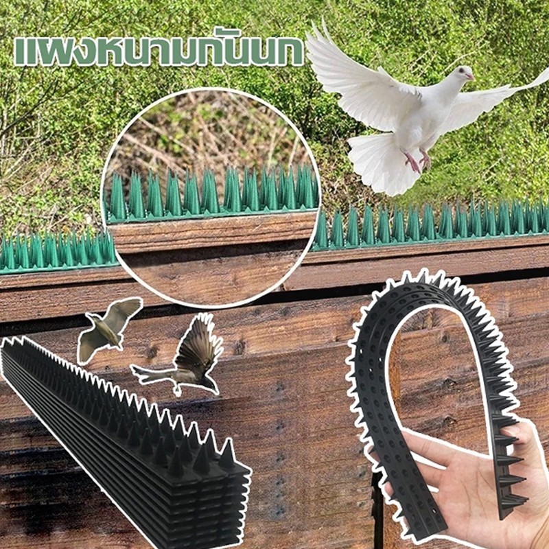 Thumbnail 9