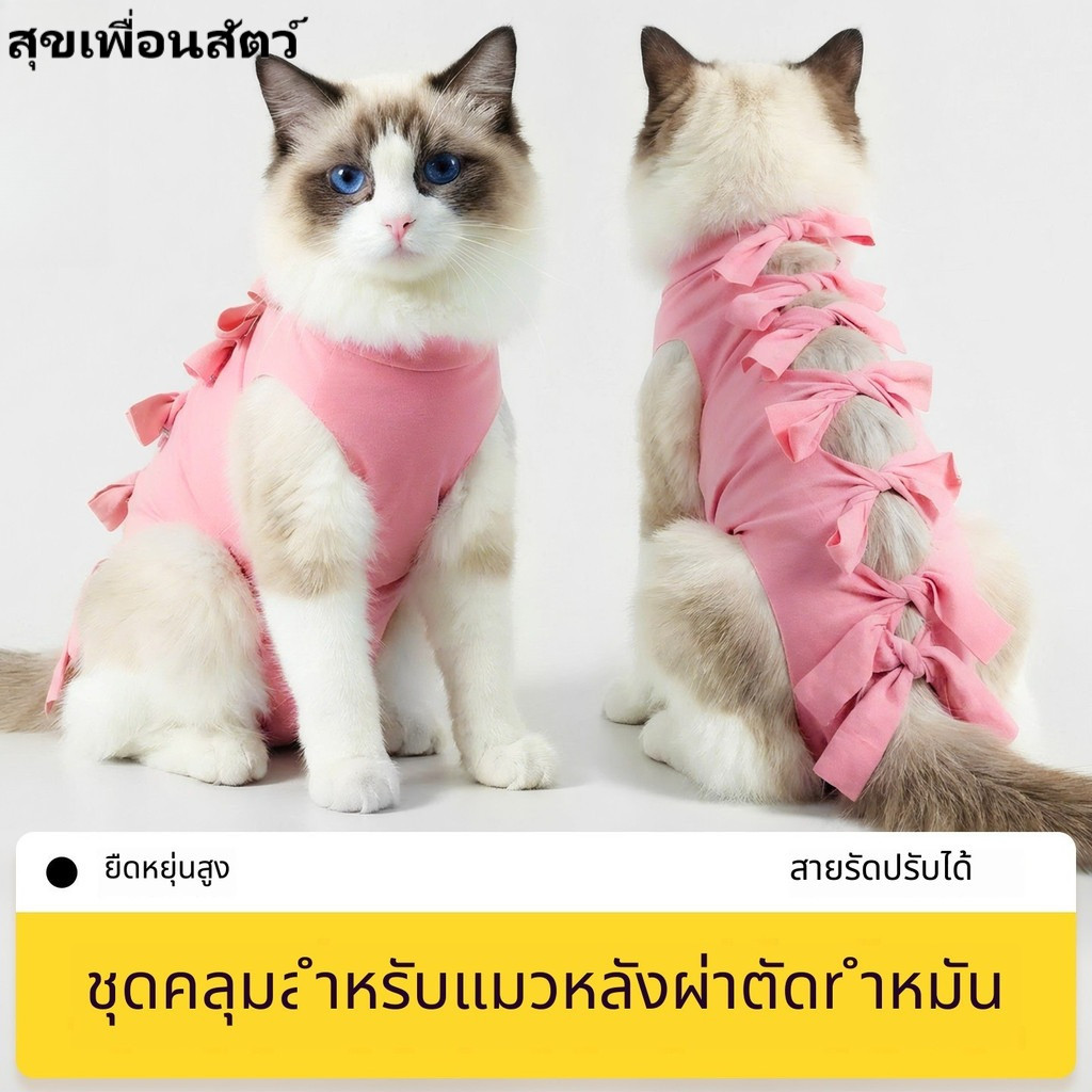 🐱 ชุดผ่าตัดแมว เสื้อหลังทำหมัน ❤ ป้องกันเลียแผล ชุดหย่านมสำหรับแมว ใส่ฟื้นฟูแผลหลังผ่าตัด ปกป้องบาดแผลประจำวัน  ส่งเร็ว