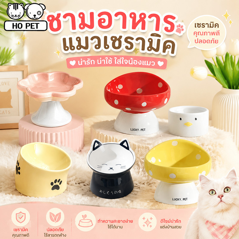 พร้อมส่ง😻ชามอาหารแมวเซรามิค รูปร่างเห็ด น่ารักมาก ทนทาน สำหรับสัตว์เลี้ยง สุนัข แมว