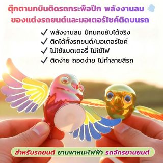 (พร้อมส่งจากไทย) นกติดรถ ปีกขยับได้ ของตกแต่งรถน่ารักๆ นกน้อยคู่ใจ อุปกรณ์แต่งรถ DIY ราคาถูก