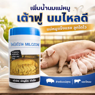 [ฟ้า] ไมโลโซน ผสมอาหาร เพิ่มน้ำน้ำนม บำรุงน้ำนม เต้าฟู หมู วัว กระปุก 450กรัม
