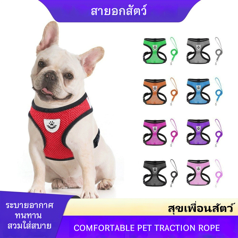 🦺สายจูงแบบเสื้อกั๊กสัตว์เลี้ยง✨สายรัดอกใช้ได้ทั้งสุนัข แมว กระต่าย โคโค่🐾มีแถบสะท้อนแสง เหมาะสัตว์เล็กทุกชนิด
