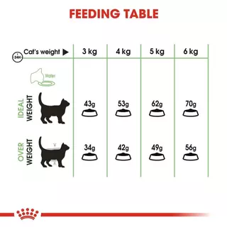 Royal Canin Digestive Care อาหารแมว โรยัล คานิน สูตรสำหรับลำไส้ ระบบย่อย ทางเดินอาหาร ขนาด 2 kg