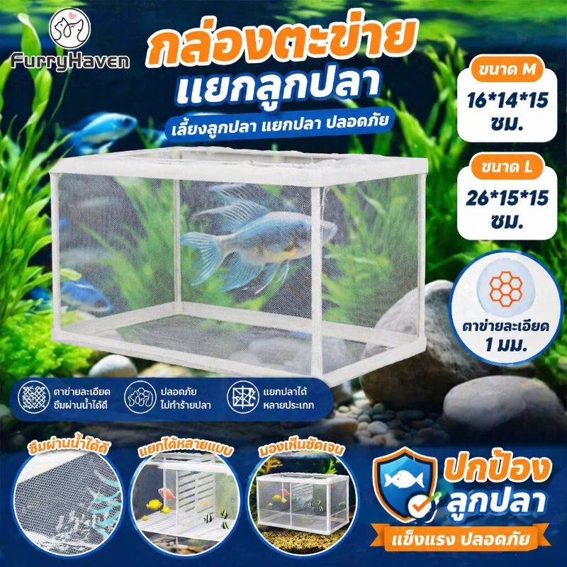 COD กล่องตะข่ายแยกปลาลูกปลาขนาน เพาะพันธุ์ปลา กล่องฟักไข่ ตู้ฟักไข่ปลา แบบตาข่าย กล่องแยกปลา