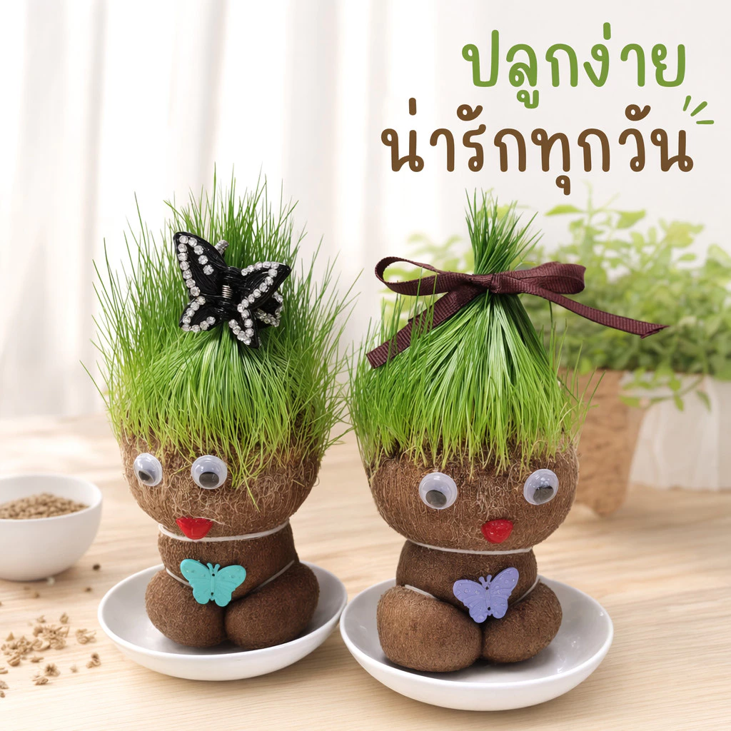 ตุ๊กตาหัวหญ้า หญ้าแมว ตุ๊กตาหญ้า diy ปลูกหญ้า ของขวัญ แต่งโต๊ะ ของเล่นเด็ก ตัดผมได้