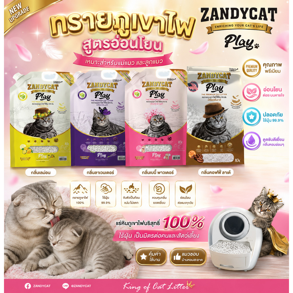 Zandycat Play ทรายเเมว ขนาด 10 ลิตร{ทรายแมว}