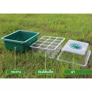 ชุดถาดเพาะกล้า ทรงสูง มีฝาปิดระบายอากาศ ควบคุมความชื้น กระตุ้นงอกเร็ว ปลอดภัยกันแมลง ทนทานใช้ซ้ำ เหมาะปลูกพืชสวนเกษตร