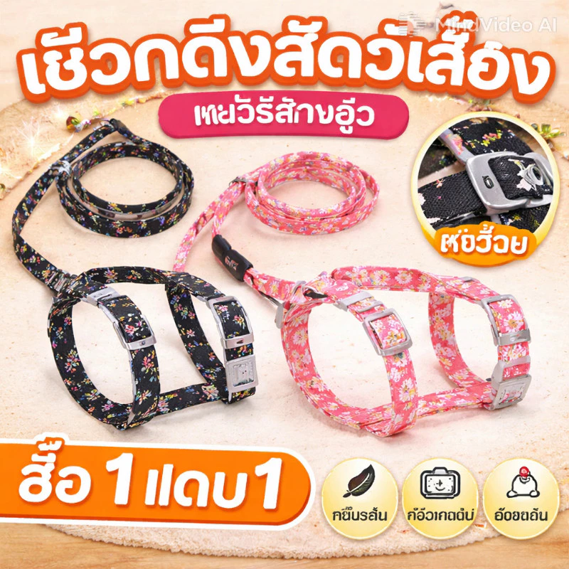 🐾สินค้าพร้อมส่ง🐱สายจูงสัตว์เลี้ยง สายจูงแมว น่ารัก 1.5M ปรับได้