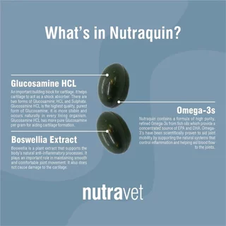 Nutravet [แท้💯] Nutramind / Nutraren / Nutracalm / Nutracys+ / Nutramarin+ / Nutraquin อาหารเสริมที่สัตวแพทย์แนะนำ 🇬🇧