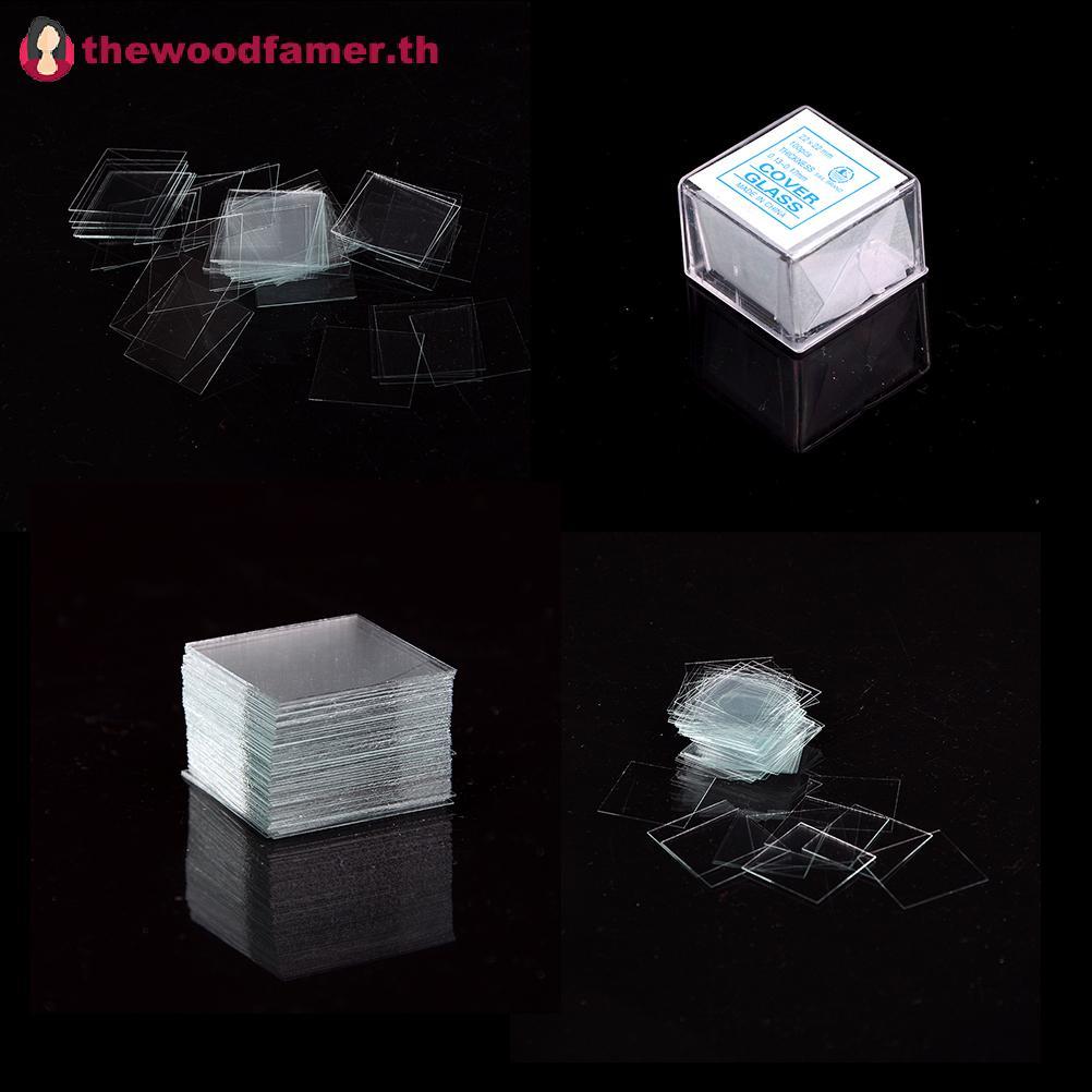 Well 100 ชิ้น Glass Micro Cover Slips 22x22 มม. - กล้องจุลทรรศน์สไลด์ครอบคลุม TH