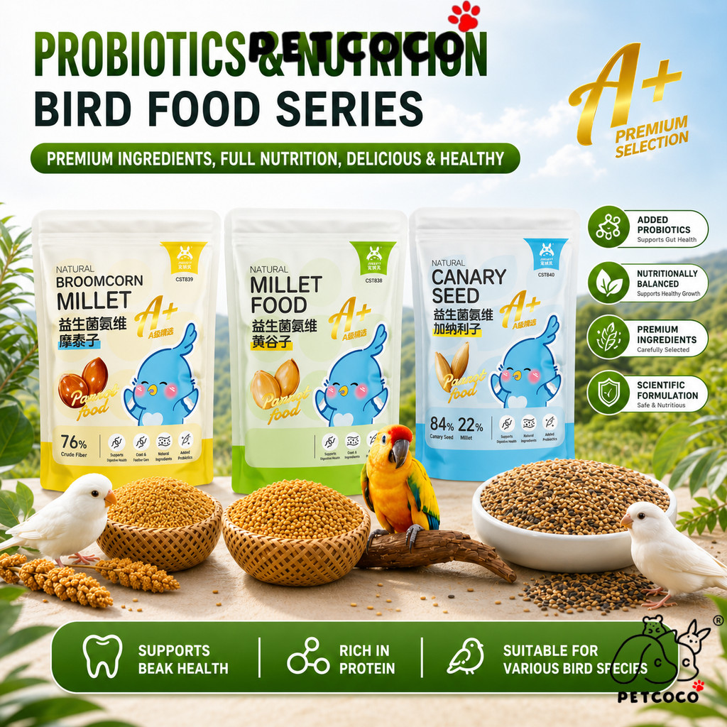 สัตว์เลี้ยงโคโคโค 🐾Jonsanty Probiotic Amino วิตามิน Millet Seeds 1LB ไม้กวาดข้าวโพด Millet สีเหลือง 