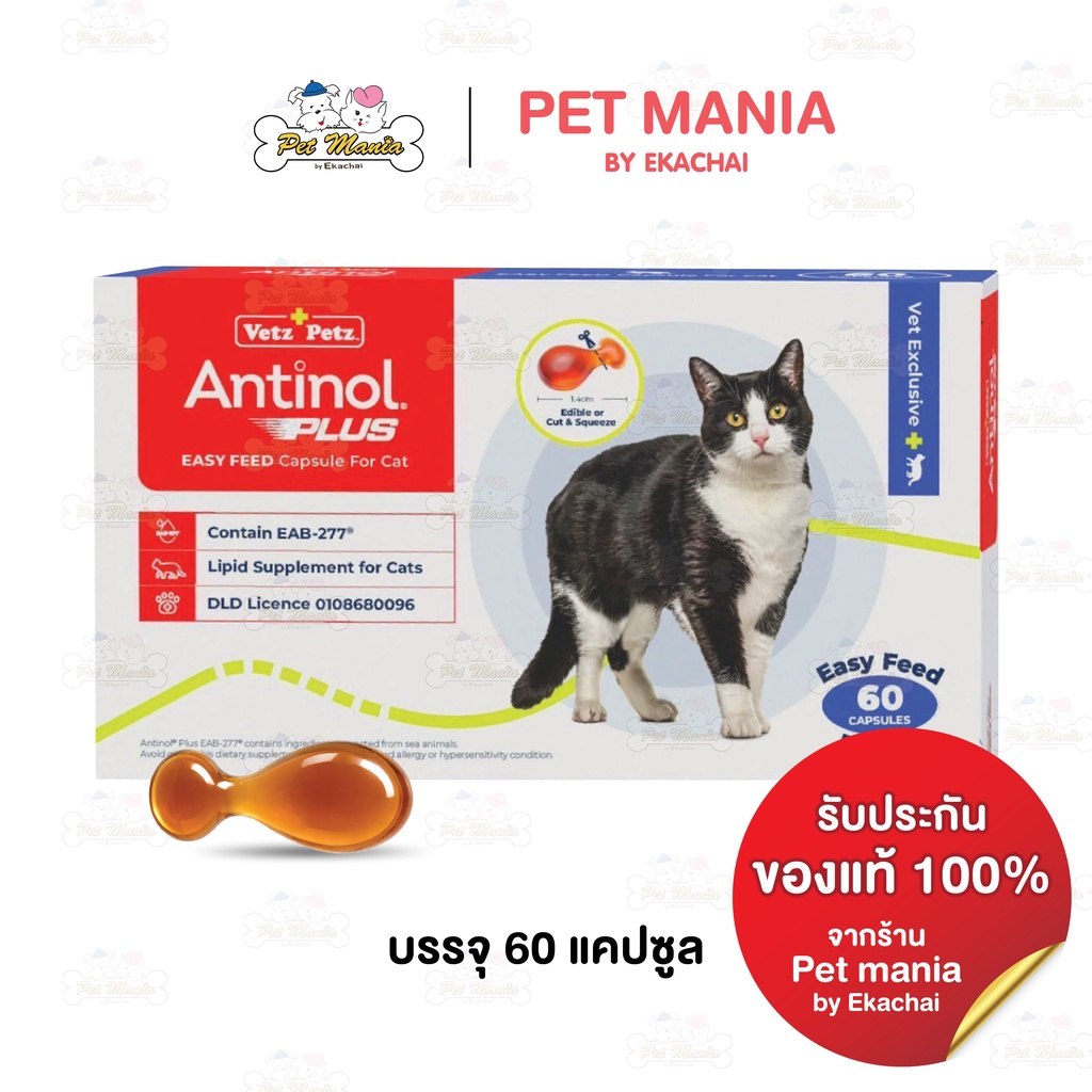 Antinol  For Cat 60 Cap แพ็กเกจใหม่ (อาหารเสริมบำรุงข้อสำหรับแมว 1กล่อง บรรจุ 60 เม็ด)
