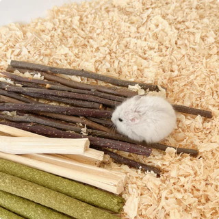 [hamster travel]ขนมขบเคี้ยวสำหรับแฮมสเตอร์: กิ่งแอปเปิ้ลแห้งและก้านไผ่หวาน เหมาะสำหรับหนูตะเภา กระรอก และกระต่ายด้วย