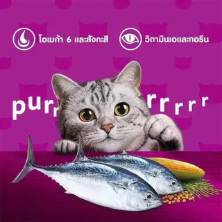 WHISKAS วิสกัส อาหารเม็ดแมวสำหรับแมวทุกช่วงวัย ขนาด 1.2 กิโลกรัม