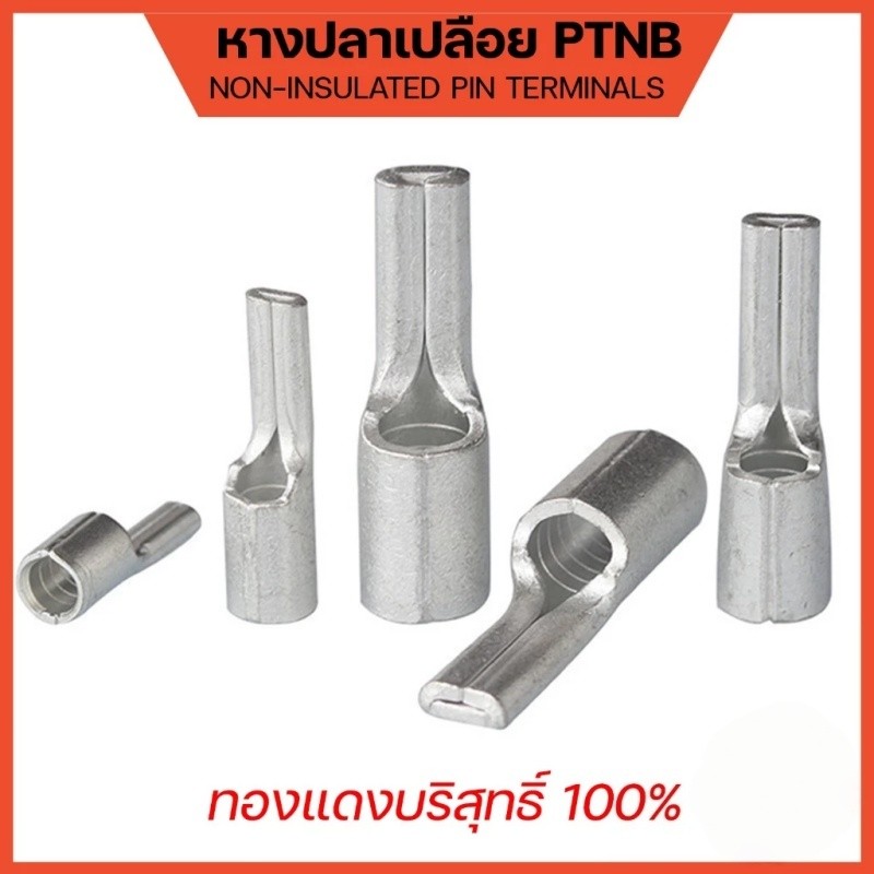 หางปลา PTNB รุ่นหนา ทองแดงชุบเงิน หางปลาเปลือย ขนาด 10-50sq.mm