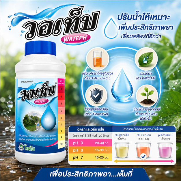 [โซตัส] วอเท็บ ขนาด 1 ลิตร สารปรับสภาพน้ำ สารปรับสภาพความเป็นด่างของน้ำให้มีค่า pH