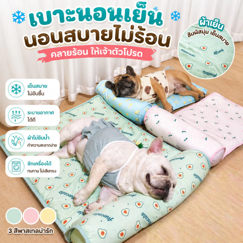 Pet Coolmat แผ่นรองนอนสัตว์เลี้ยง เบาะเย็นแมว แผ่นเย็นแมว เย็นสบาย นุ่มนวล สบายตัว ระบายอากาศดี