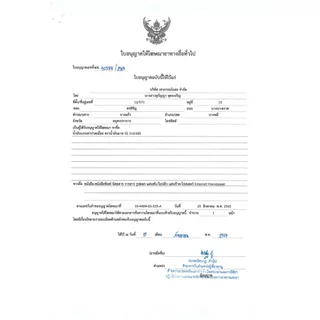 น้ำมันมวย ( น้ำมันมวย 120 ซีซี ) ยาสามัญประจำบ้าน น้ำมันบรรเทาปวดเมื่อย
