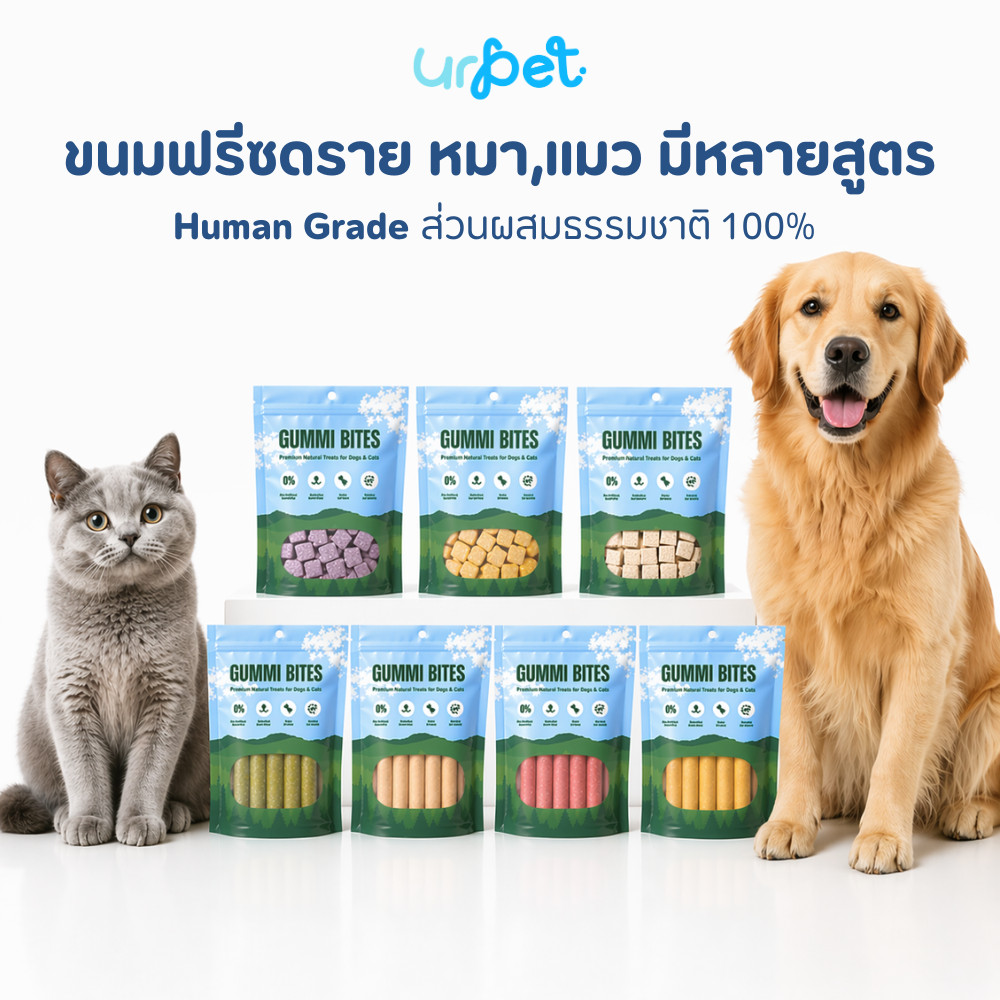 ขนมฟรีซดราย (Freeze Dried) - แมวและสุนัข อกไก่เต๋า ฟรีซดรายแมว ขนมแมว Gummi Bites by UrPet