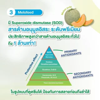 [แบ่งขาย!] Candioli : Evexia HF [แท้💯] อาหารเสริมบรรเทาอาการปวด ลดอักเสบ ลดการใช้ยา สำหรับสุนัขและแมว 🇮🇹