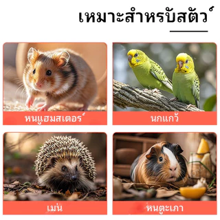 [ในสต็อก + จัดส่งจากประเทศไทย]ท่องเที่ยวหนูแฮมสเตอร์กรงหนูแฮมสเตอร์กรงกระเป๋าเม่นกรงป้องกันหนีความปลอดภัยโปร่งใสอะคริลิ