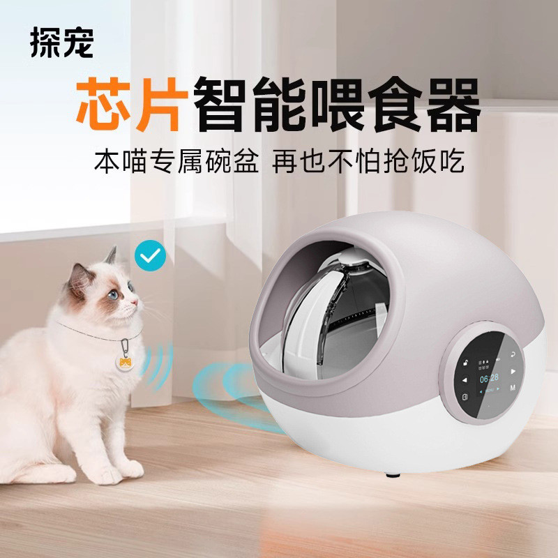 Quest Pet Anti-Grab Chip Identification More Cat เครื่องให้อาหารอัตโนมัติ Timing รีโมทคอนโทรลสัตว์เล