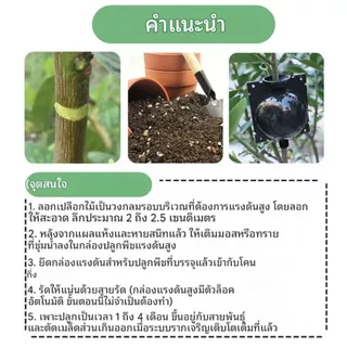 ตุ้มตอนพลาสติก แบบหนา มี 2ขนาด ขาวโปร่ง แข็งแรง ทนทาน ใช้ซ้ำได้ การออกแบบที่เน้นความสะดวกสบาย