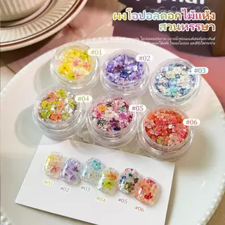 Miss Gooey ดอกไม้แห้งตกแต่งเล็บเจล ชุดดอกไม้ประดับเล็บหลายเฉดสี สวยละมุน ง่ายใช้ ทำเล็บDIYที่บ้าน ร้านทำเล็บมืออาชีพ