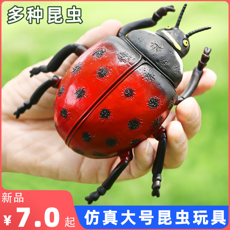 จําลองแมลงรุ่น Seven-Star Ladybug ของเล่น Spider Dragonfly Scorpion Western Number Locust ขนาดใหญ่เด