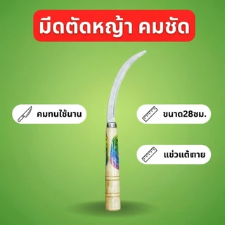เคียวด้ามไม้ มีดทำสวนคม น้ำหนักเบา แข็งแรง ทนทาน(ยกโหล12ชิ้น)L-1751พร้อมส่ง
