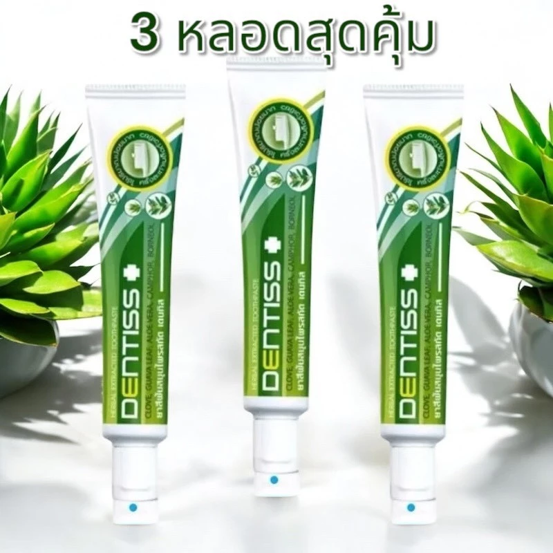 ซื้อ3 ชิ้น คุ้มกว่า ยาสีฟันสมุนไพรสกัด มิสทิน เดนทิส 40 กรัม [ ล็อตใหม่ล่าสุด Exp. ปี 2028 ] Nu-0108