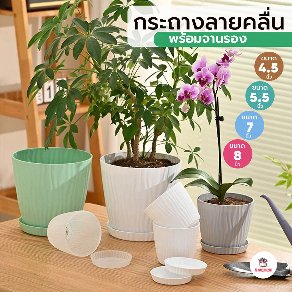 [ LYP ] กระถางลายคลื่นพร้อมจานรอง กระถางพลาสติก แคคตัส กระบองเพชร ไม้อวบน้ำ Cactus&Succulent