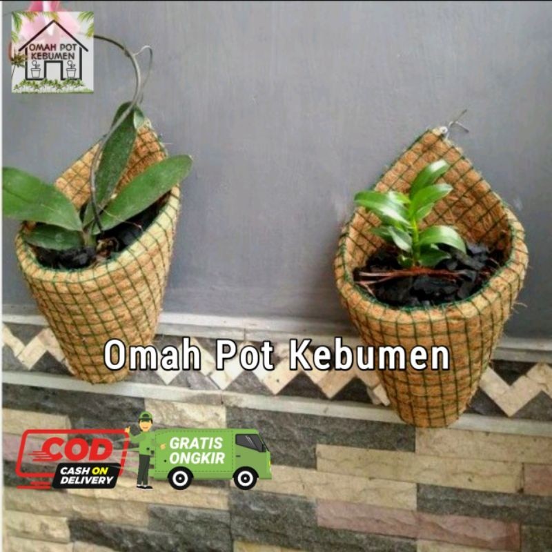 (หม้ออmah) ORCHID POT/WALL-MOUNTED POT
