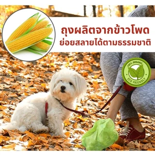 Mango ถุงเก็บมูลสัตว์เลี้ยงย่อยสลายได้ 20 ม้วน ฟรีแคปซูล ถุงเก็บอึหมา ถุงเก็บอึแมว เก็บอึแมว/สุนัขและสัตว์เลี้ยง