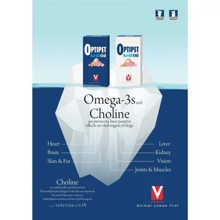 Optipet [แท้💯] Krill Oil อาหารเสริมลดการอักเสบ ต้านอนุมูลอิสระ บำรุงข้อต่อ ขน หัวใจ ระบบประสาทและสมอง