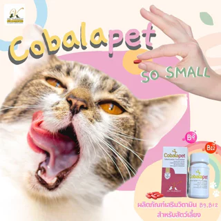 Cobalapet [แท้💯] อาหารเสริม Vitamin B12 และ B9 เข้มข้น บำรุงระบบประสาทและร่างกาย สำหรับสุนัขและแมว (30 เม็ด)