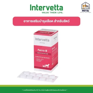 [แบ่งขาย!] Dr.Choice [แท้💯] รวม! B-Young / Cardi-B / Derma-B / Ferro-B / Livo-B / Cal-B อาหารเสริมสำหรับสุนัขและแมว