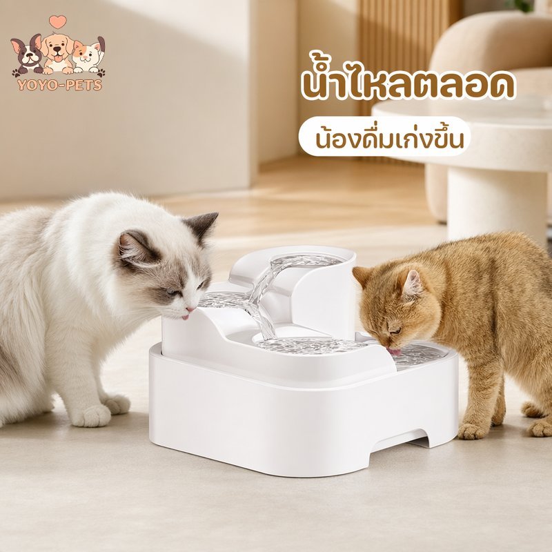 น้ำพุแมวอัตโนมัติ ที่ให้น้ำแมว กรอง4ชั้น ชามน้ำแมว USB เงียบ จุ2ลิตร แมวทุกไซส์ หลายตัว