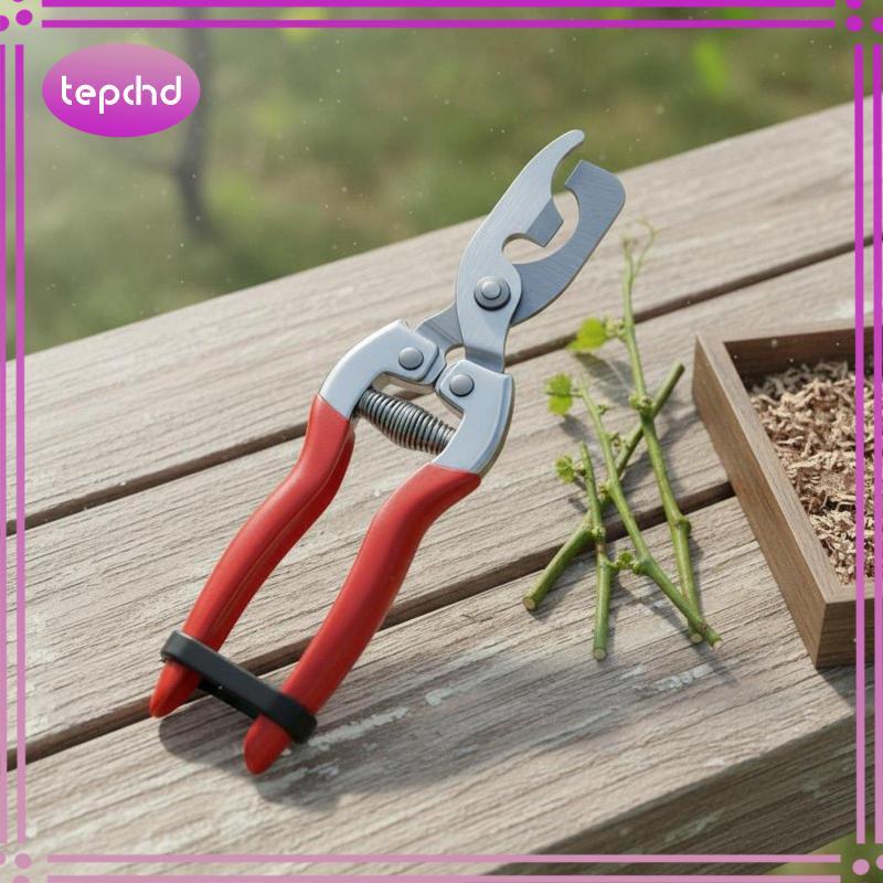 [tepchd] Bud Notching การทําสวนตัดแต่งกิ่งเฉือนสวนคีมตัดแต่งกิ่งเครื่องมือพืชสําหรับคีมตกแต่งต้นไม้ 