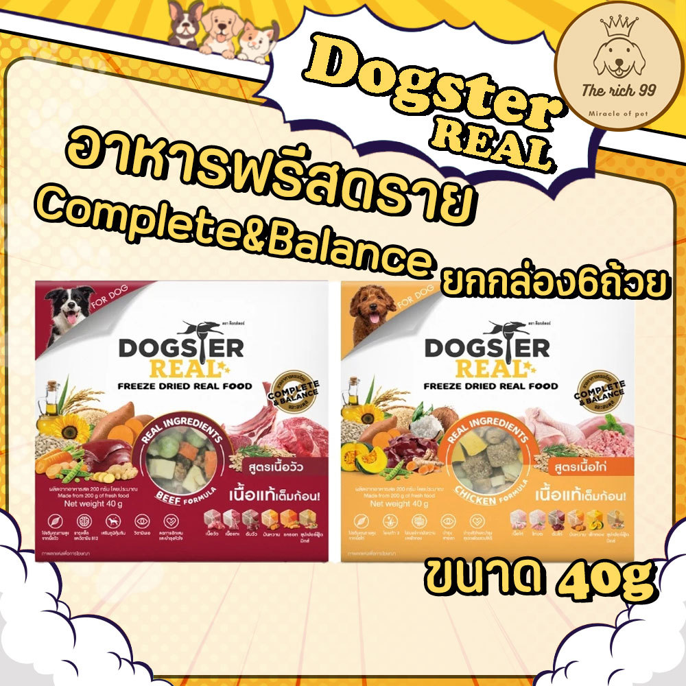 (กล่อง6ถ้วย) Dogster Real ด็อกสเตอร์ เรียล อาหารฟรีซดราย สูตรเนื้อวัว เนื้อไก่ อาหารมื้อหลักสุนัข 40g