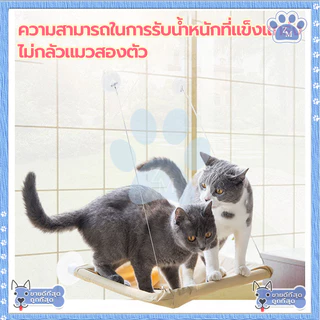 เปลแมวติดกระจก เตียงแมว เบาะแมว ขนาดใหญ่ 55x35ซม รับน้ำหนักได้ถึง 20 kg ถ้วยดูดที่มีประสิทธิภาพ มั่นคงและไม่หลุดง่าย