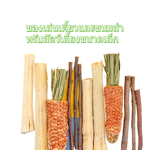 [hamster travel]ขนมขบเคี้ยวสำหรับแฮมสเตอร์: กิ่งแอปเปิ้ลแห้งและก้านไผ่หวาน เหมาะสำหรับหนูตะเภา กระรอก และกระต่ายด้วย thumbnail 3