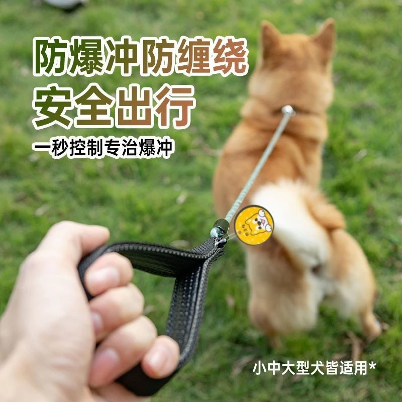 สายจูงสุนัขแบบเชือกป้องกันการระเบิด รุ่น FCB23 สำหรับสุนัขทุกขนาด thumbnail 8