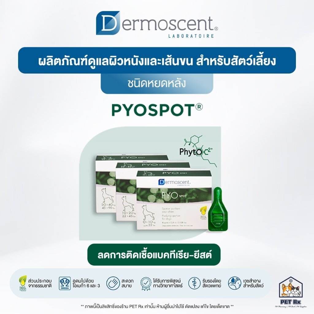 Dermoscent [แท้💯] PYOspot ผลิตภัณฑ์หยดหลังเพื่อจัดการผิวหนังติดเชื้อ ชนิดหยดหลัง สำหรับสุนัข 🇫🇷