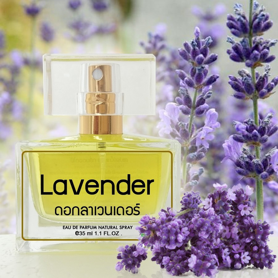 สเปรย์น้ำหอม กลิ่นลาเวนเดอร์ (Lavender Flower Perfume) 35ml. พร้อมส่ง