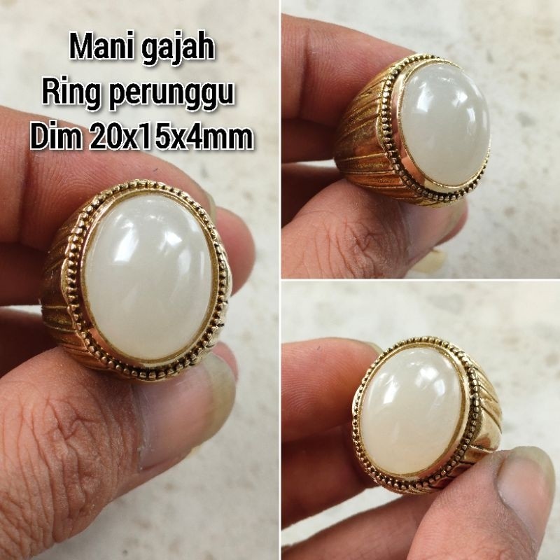 WHITE ELEPHANT MANI STONE MENS RING GOLD WITING RINGS