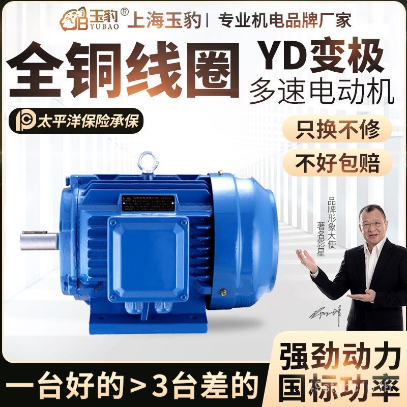 YD Variable Extreme Two-Speed 2-Pole/4-Pole/6-Pole/8-Pole สามPhase Abnormal Step Motor ทองแดงทั้งหมด