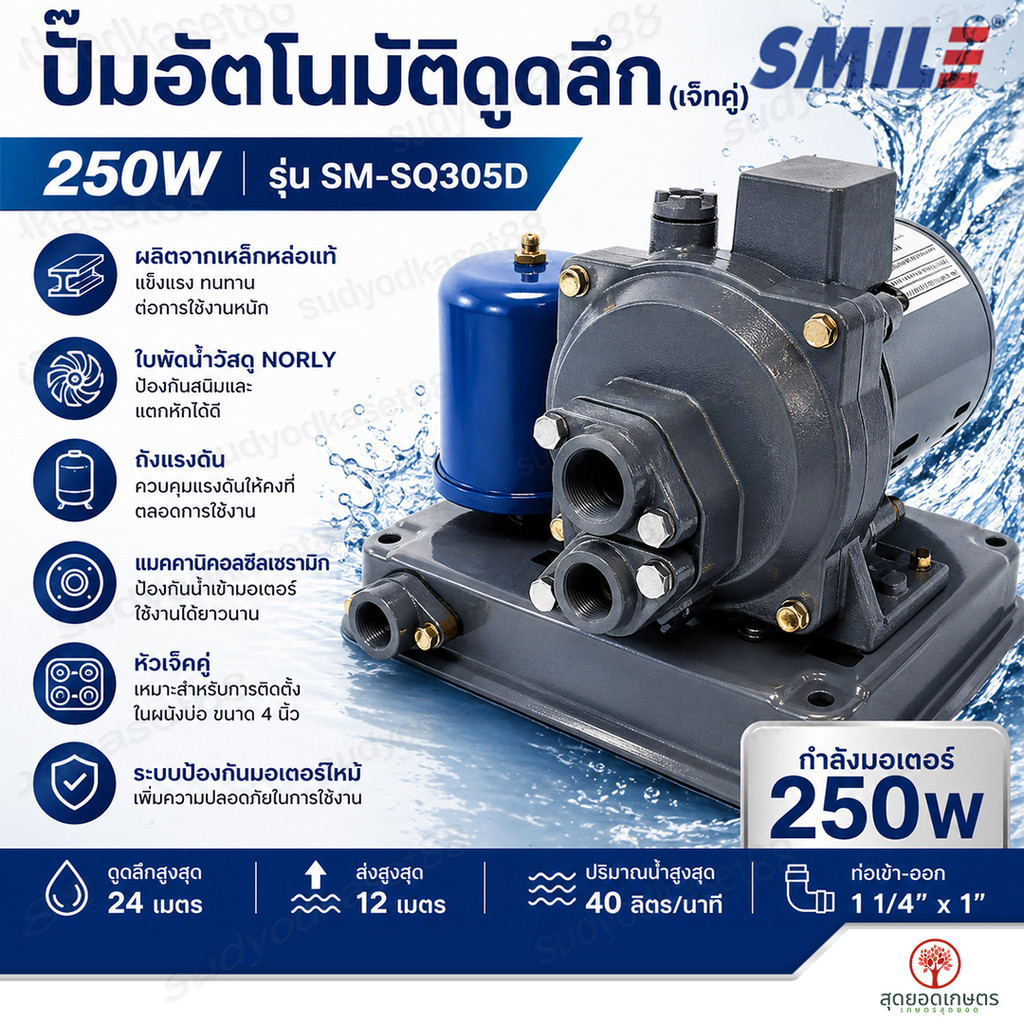 SMILE ปั๊มน้ำอัตโนมัติดูดลึก (เจ็ทคู่) 250W รุ่น SM-SQ305D ปั๊มดูดน้ำบาดาล ปั๊มเจ็ทคู่ แรงดันคงที่ น