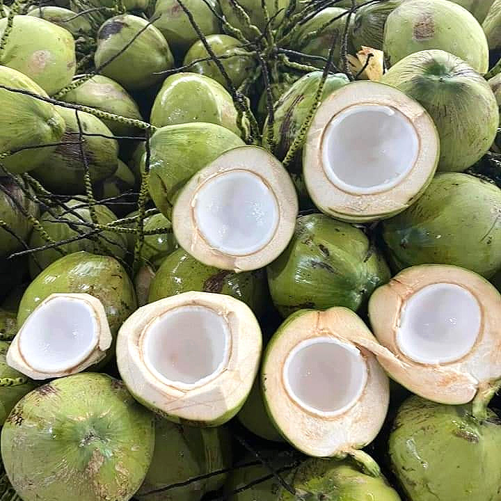 (พร้อมส่ง) มะพร้าวน้ำหอมบ้านแพ้ว 1 ลูก เนื้อนิ่มละมุน coconut มะพร้าวบ้านแพ้ว มะพร้าวน้ำหอมแท้