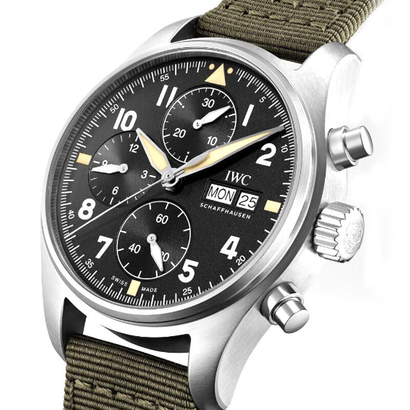IWC (IWC) Swiss Watch Pilot Series Mechanical Mens Watch IW387901